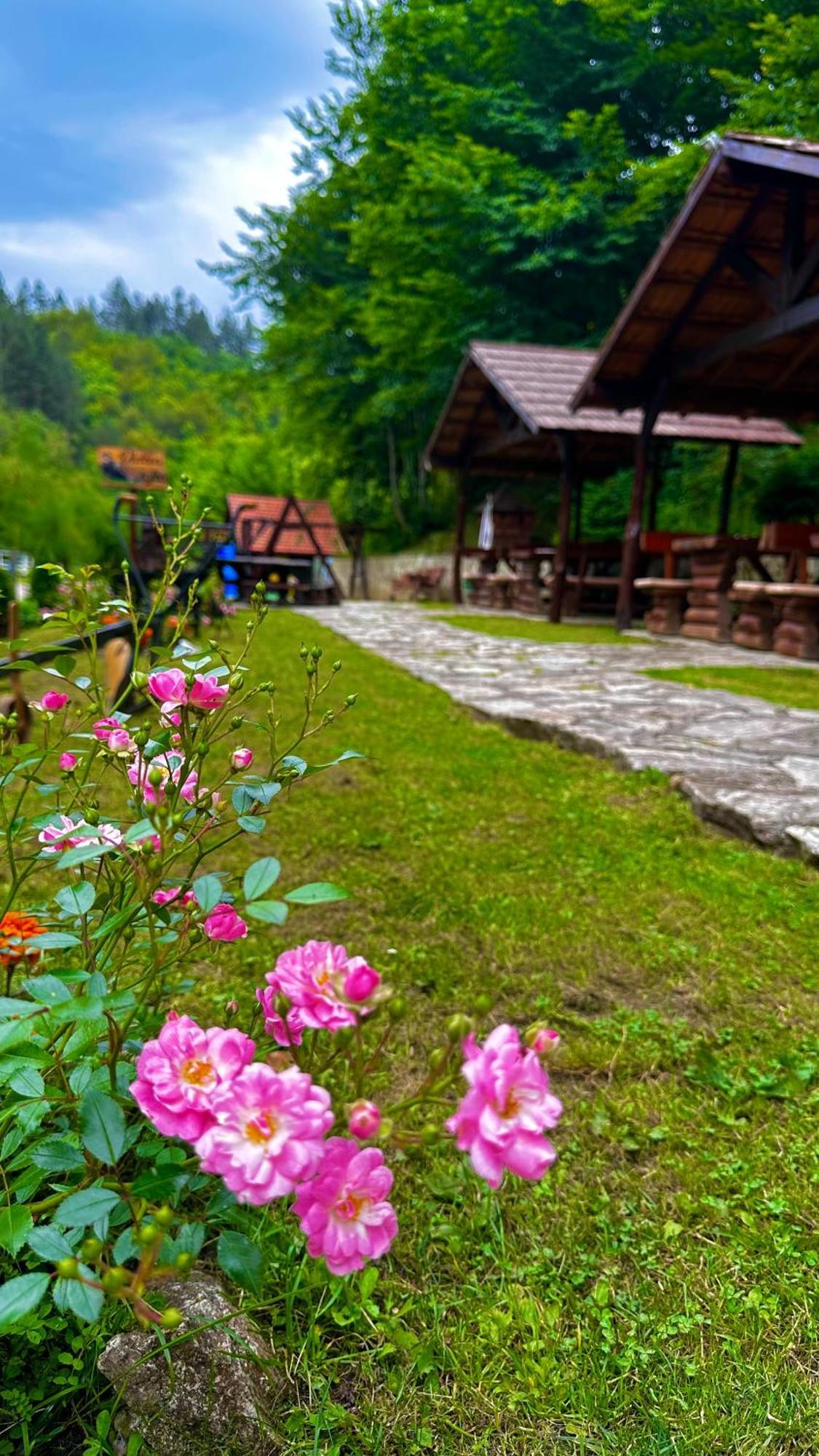 Motel Stovrela Cazin Ngoại thất bức ảnh